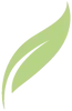 Leaf Icon